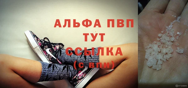 амф Богданович