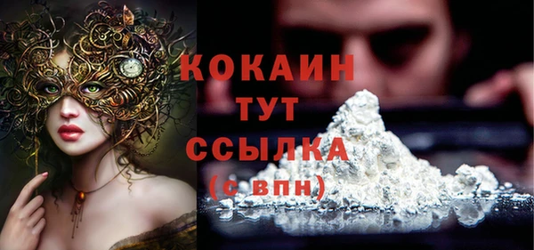стаф Покачи