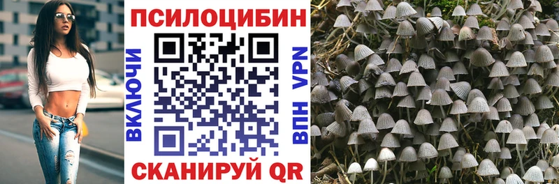 Псилоцибиновые грибы MAGIC MUSHROOMS  OMG зеркало  Староминская 